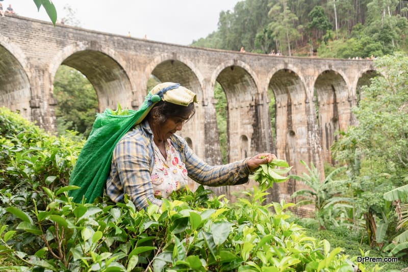 farming activities