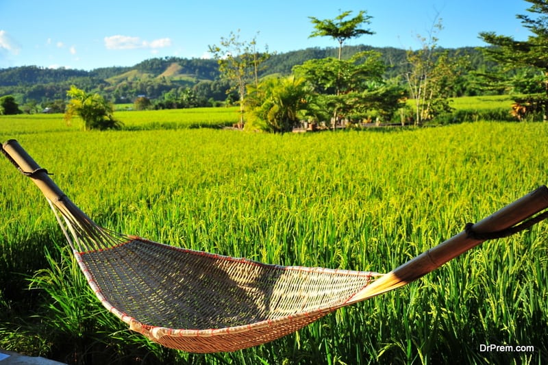 greenery amid countryside