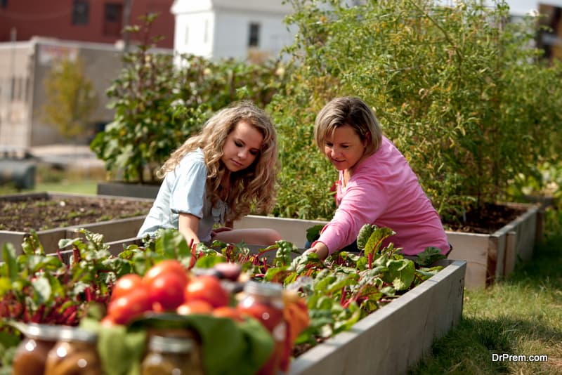 local-produce