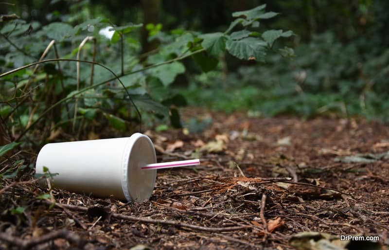 rubbish in forest