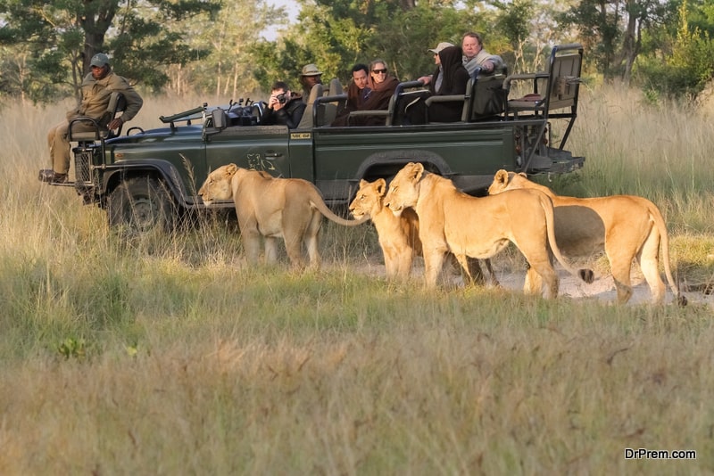 safari-holidays-in-South-Africa