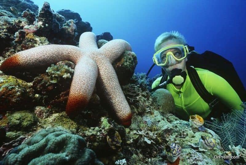 snorkeling