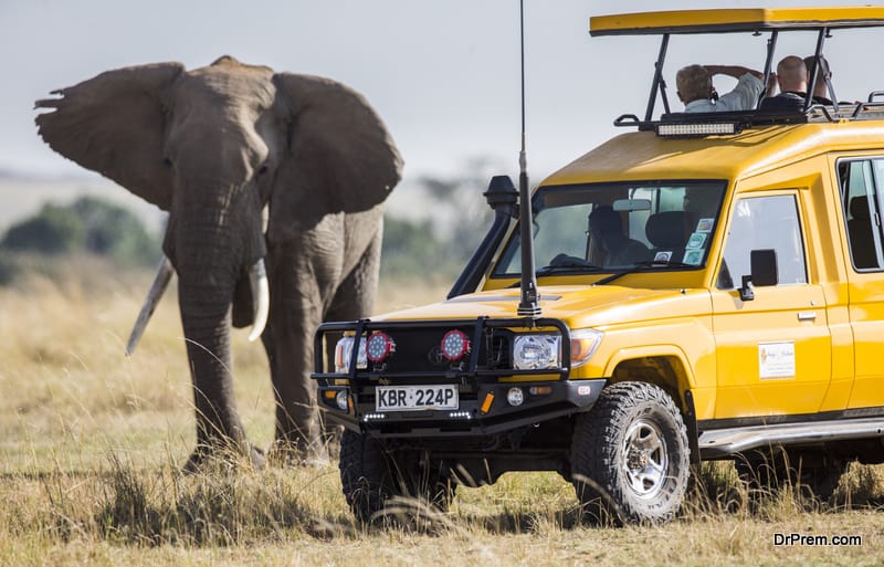 tourists in the wild life zone