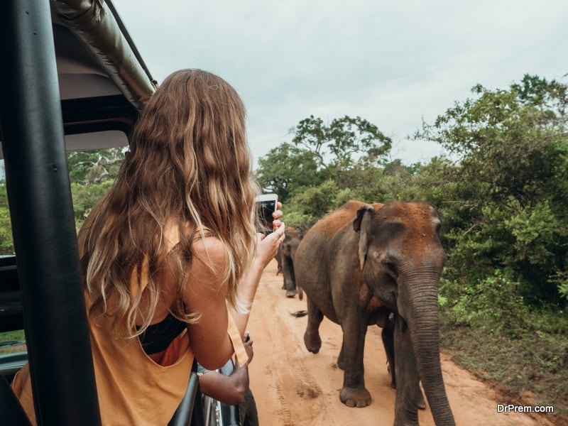 woman on safari trip