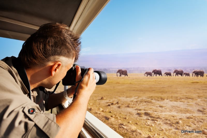 Man-taking-photo-of-elephants