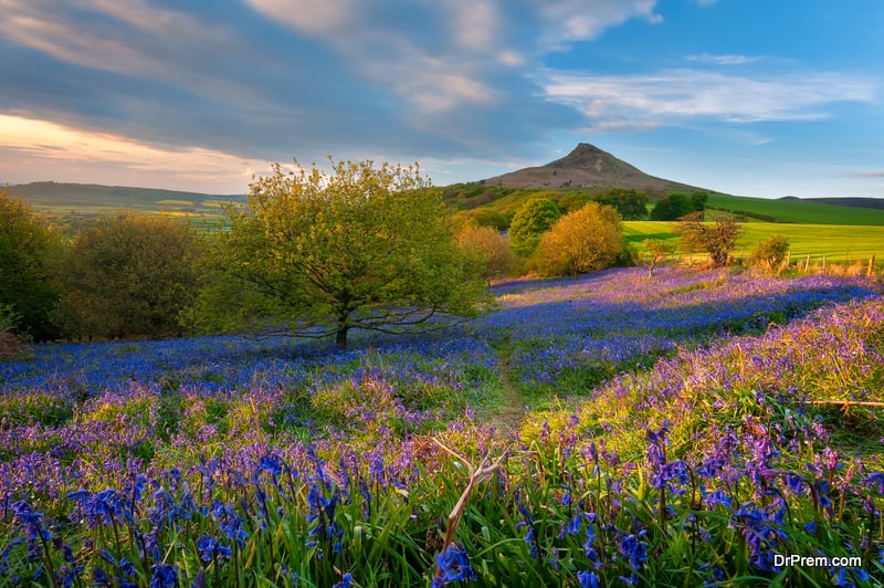 The North York Moors, UK