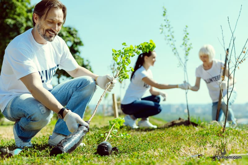 tree plantation program