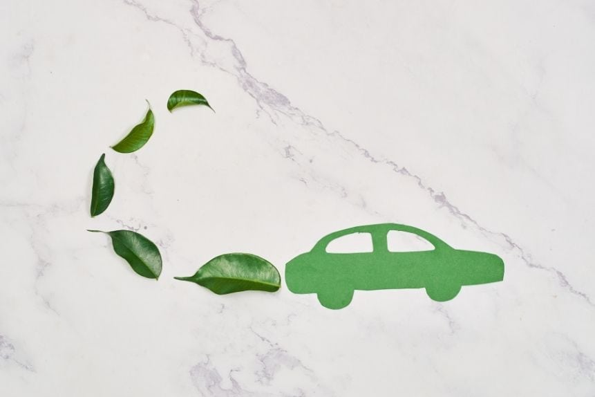 Carbon neutral travel