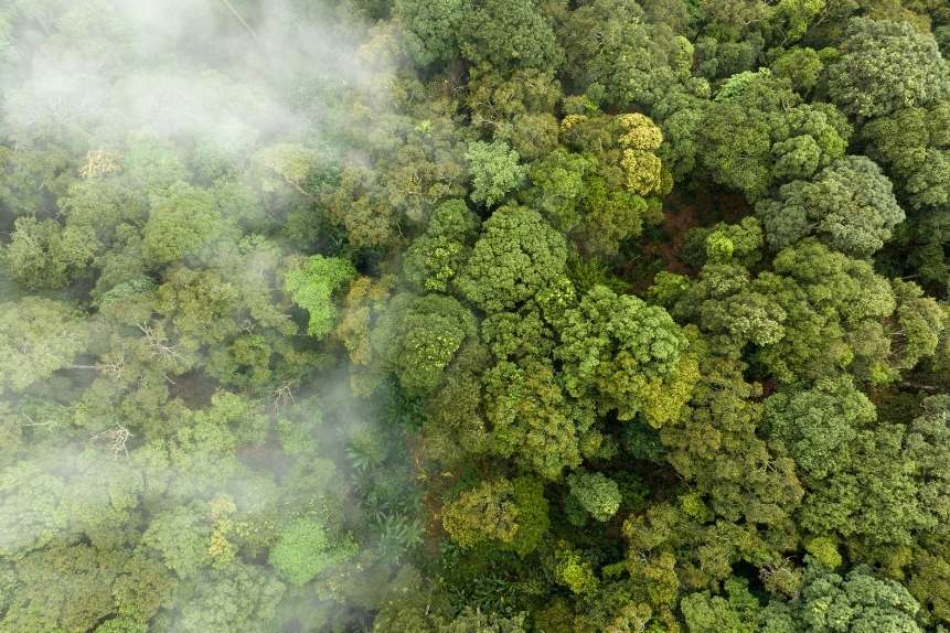 Carbon-Neutral Travel