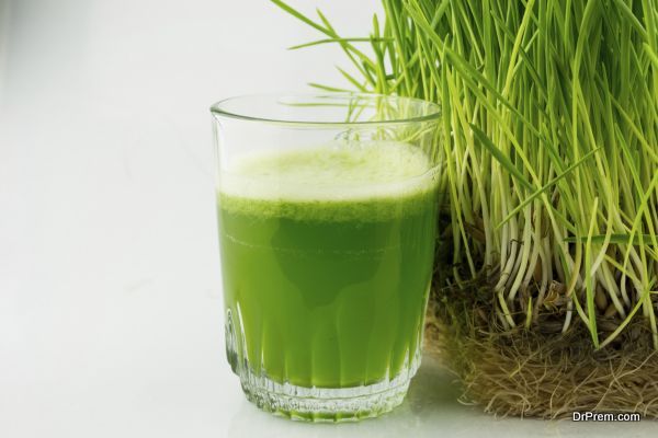 Green Organic Wheat Grass Juice ready to drink