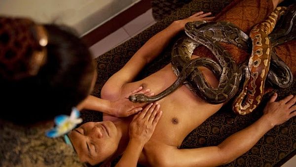 Spa Offers Clients PYTHON Massages in Indonesia1