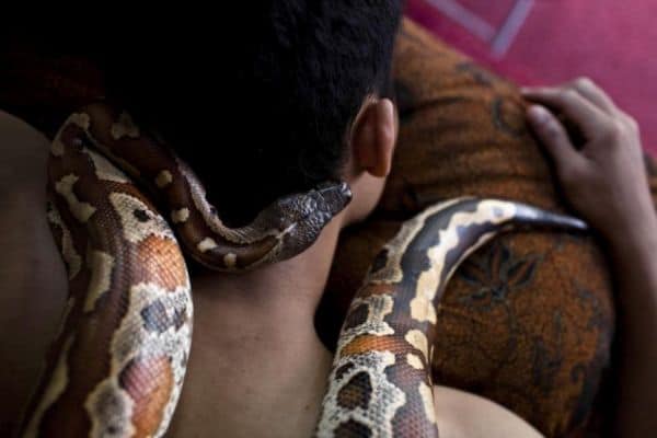 Snake Massage