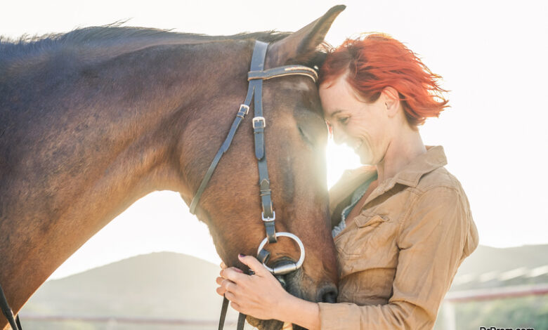 Animal assisted therapy for your wellness