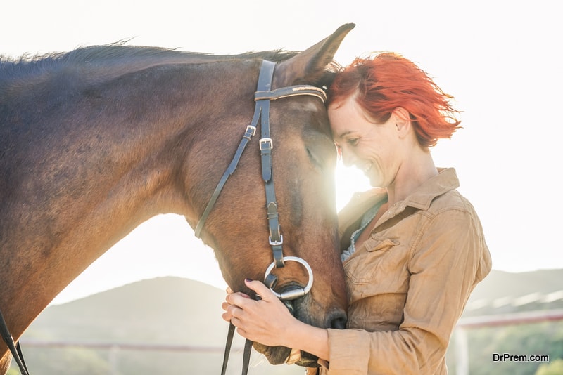 Animal assisted therapy for your wellness