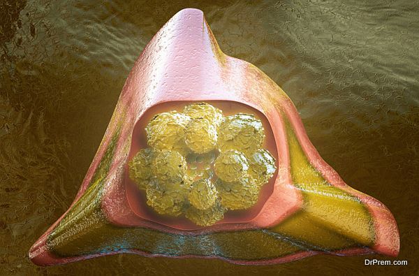 Stem cells in bone marrow - 3d rendered illustration