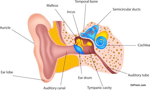 ear infections in children (1)