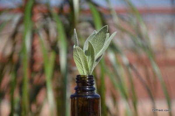 Homeopathic remedy bottle and plant