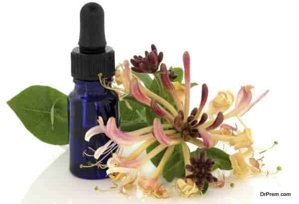 Honeysuckle Flower Essence