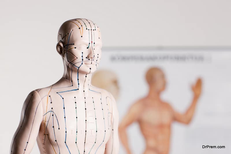 acupuncture model in front of a acupuncture signboard