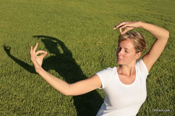 Meditation on a Lawn