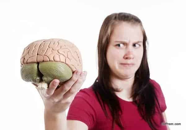 Cute brunette frowns at anatomical model of human brain