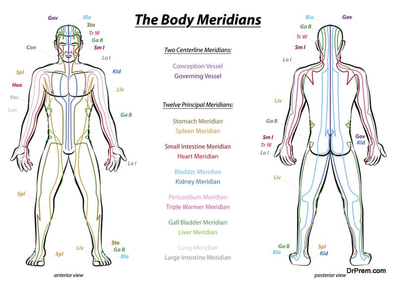 Meridian System Description Chart Male Body