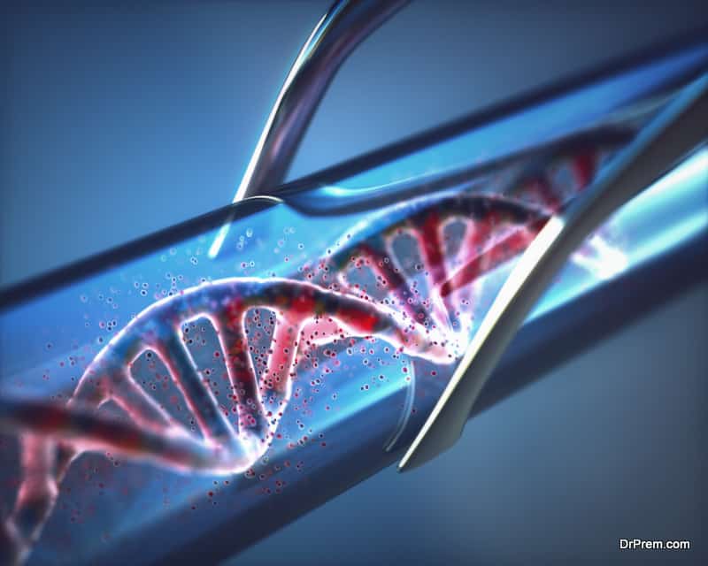 DNA Lifestyle Genetic Analysis