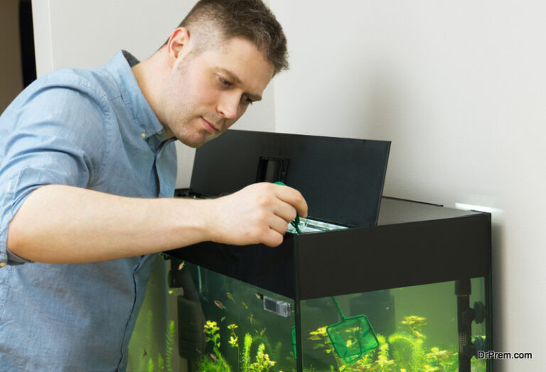 A Comprehensive Guide to Aquarium Therapy – Concept, Mental and ...