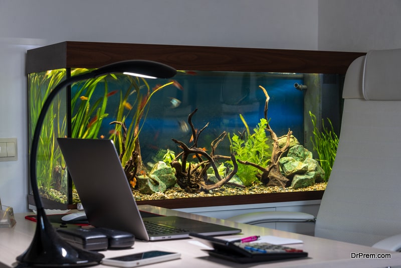 Workplace in the office over background of the aquarium