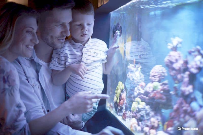 The Role of a Fish Tank in Therapy : Center Point Medicine: Pediatric  Hypnosis and Counseling