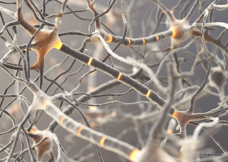Neuron cells transmitting information.