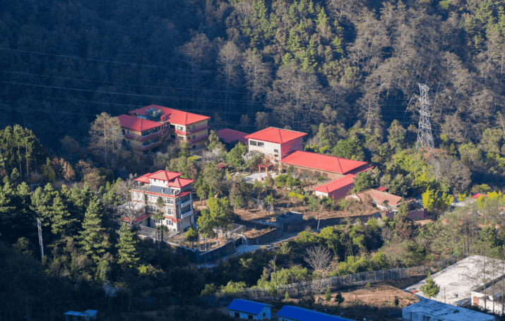 How Dr Prem’s Jungle Mahal Wellness Retreat Became a Model for Holistic Wellness Experiences 10 image-10