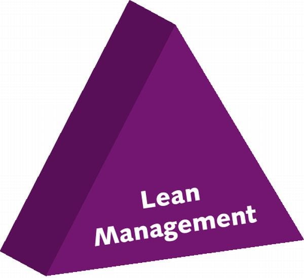 Lean Management in Healthcare