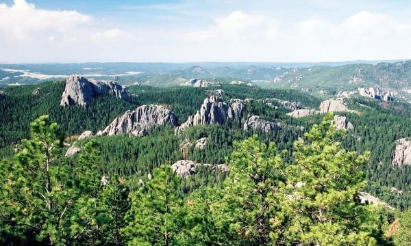 Black Hills South Dakota_6